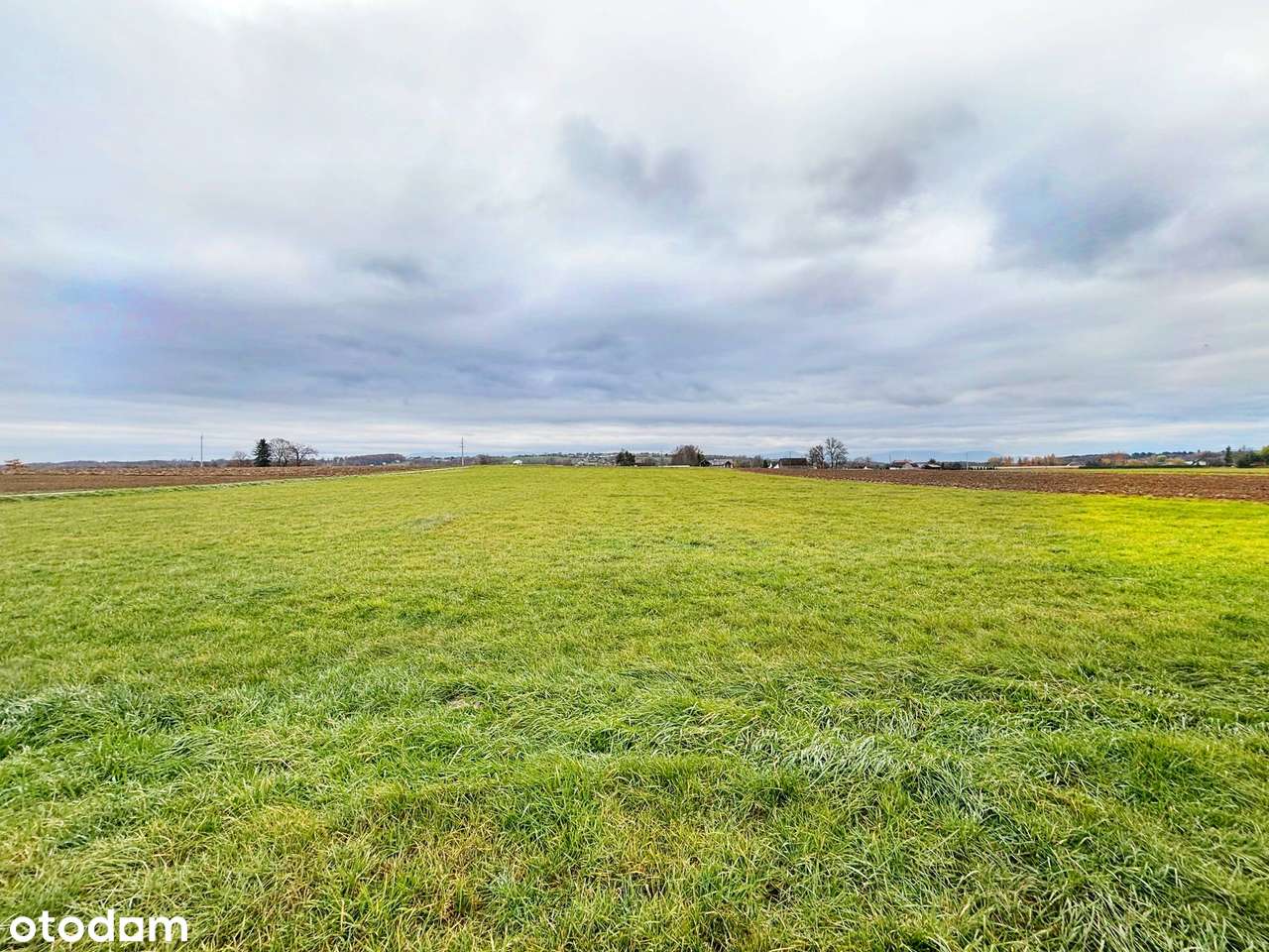 Duża działka z ogromnym potancjałem! - Pełny obrazek: 4/9