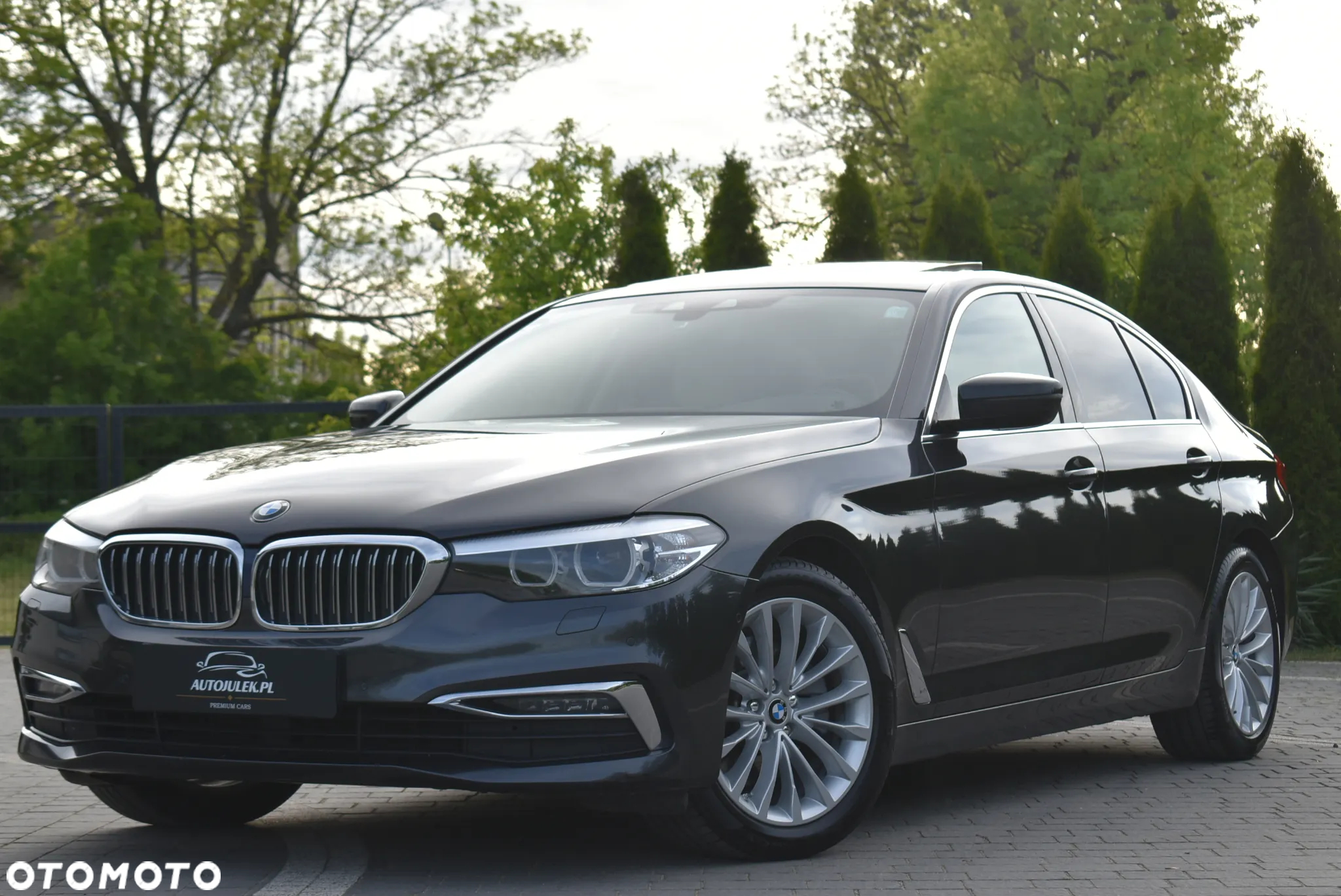 BMW Seria 5 520d xDrive Luxury Line - 7