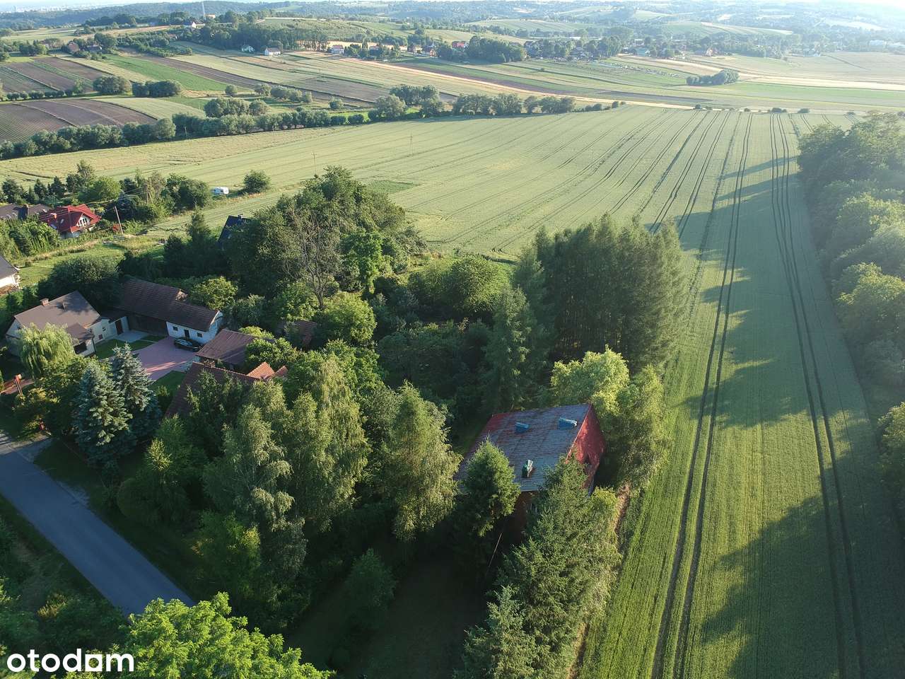 1,11 ha - Więcławice Dworskie, gm. Michałowice - budowlano-rolna-5