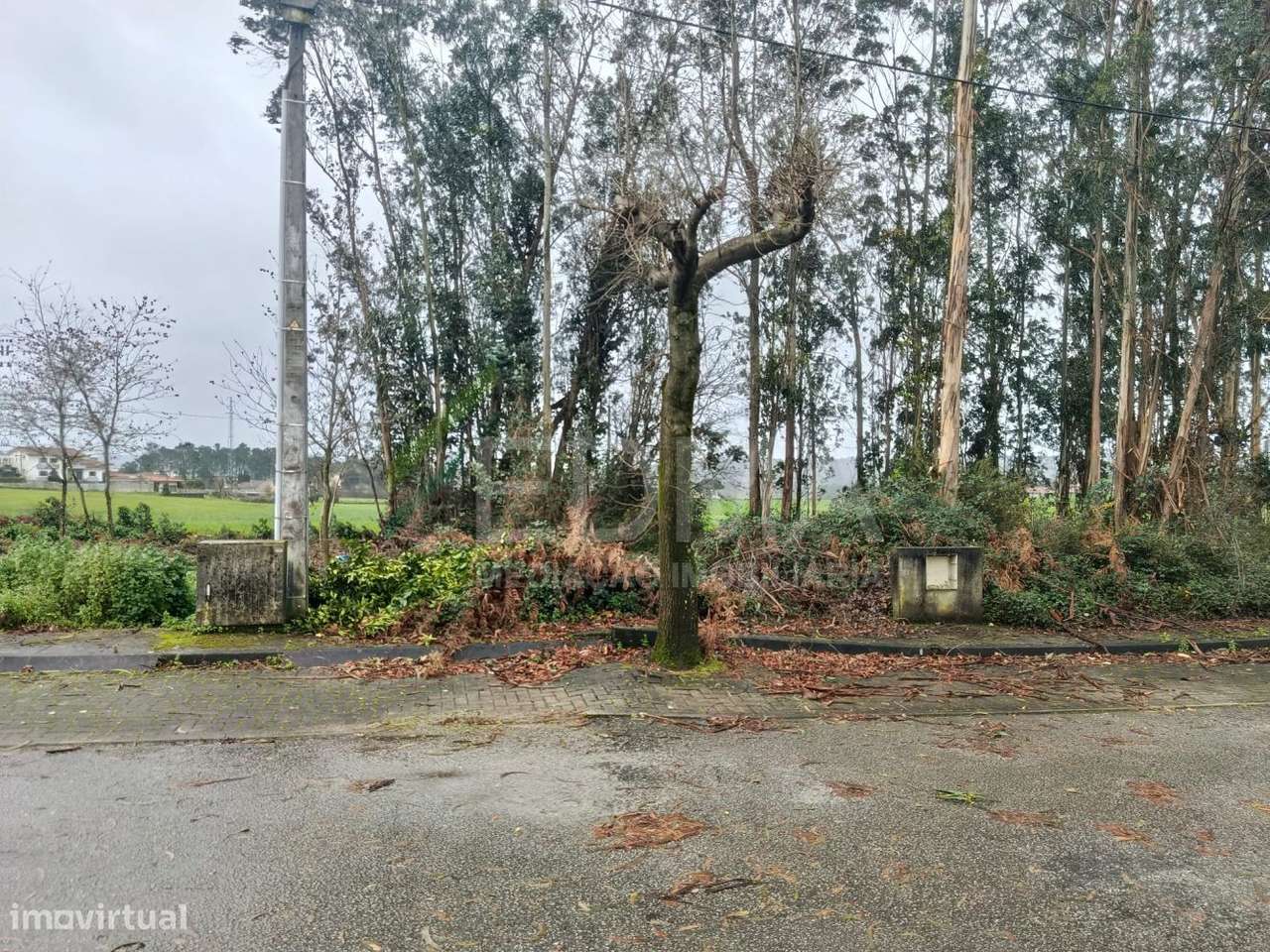 Terreno - Grande imagem: 4/8