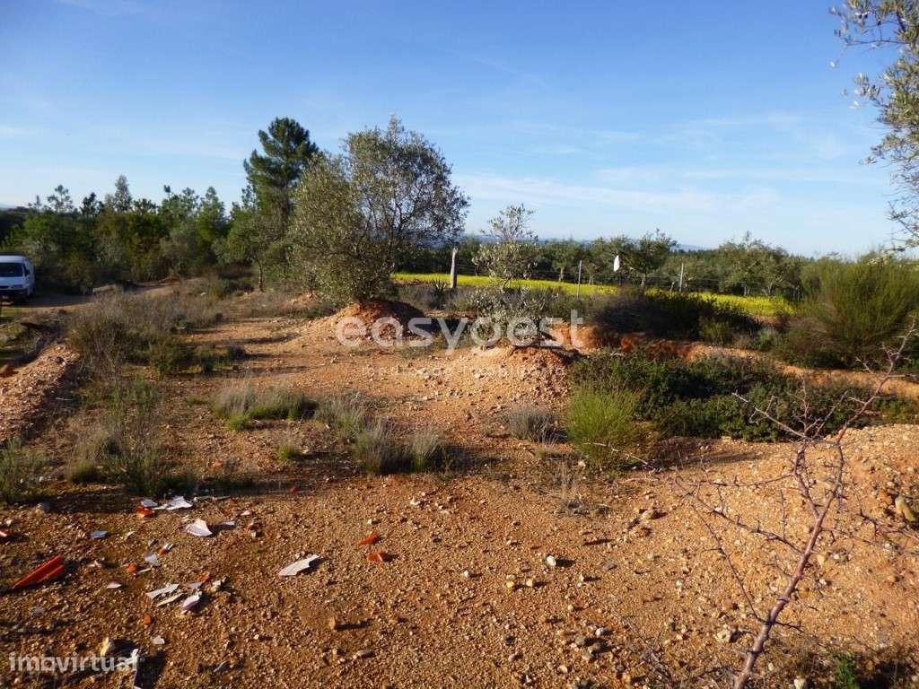 Excelente Terreno Rústico com boa localização em Malpica do Tejo - Grande imagem: 3/17
