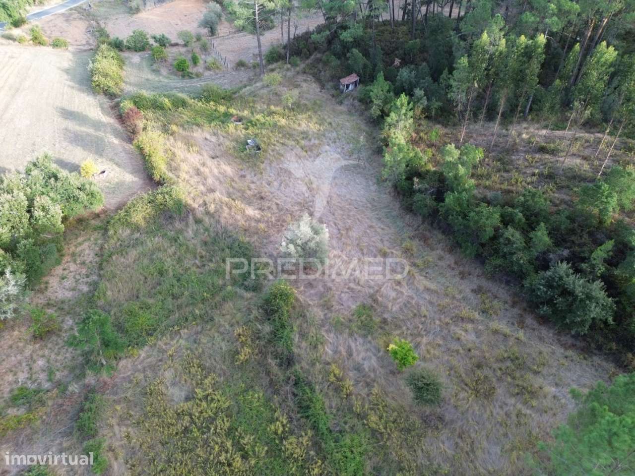 Terreno Rústico com 5.160 m² — Arneiro das Milhariças, Santarém - Grande imagem: 3/25