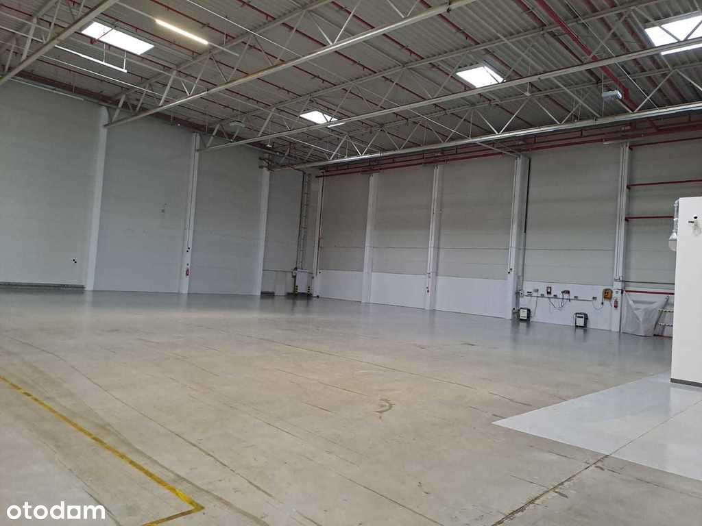 Podnajem magazynu z obsługą, Piotrków Trybunalski - Pełny obrazek: 4/9