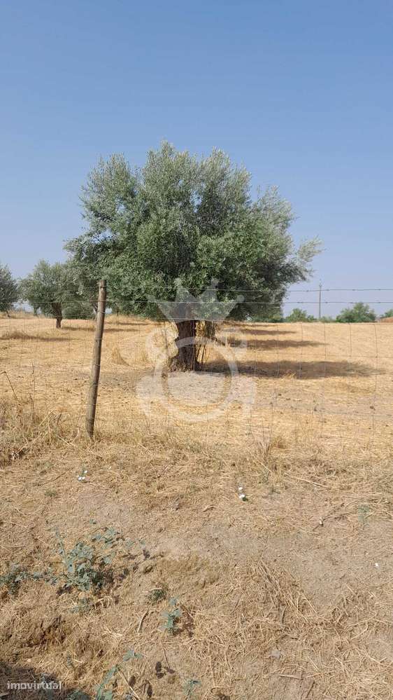 Ferragial das Casa Novas - Grande imagem: 5/11