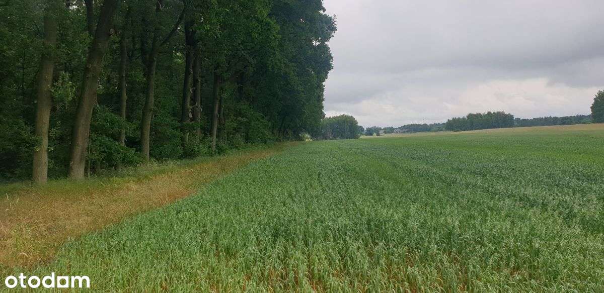 Działka, 1 041 m², Wola Pasikońska-6