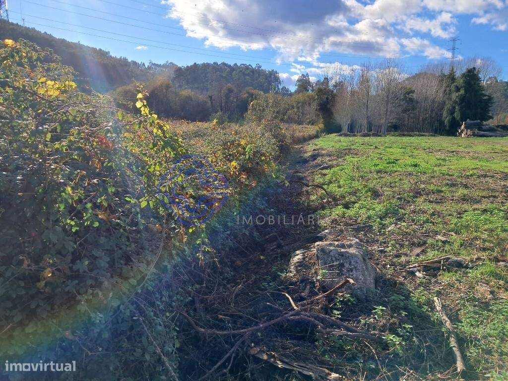 Terreno rústico com 2200m2, não urbanizável - Grande imagem: 5/10