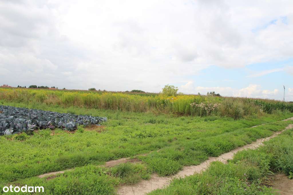 Inwestycyjna Działka w Krakowie, Nowa Huta-5