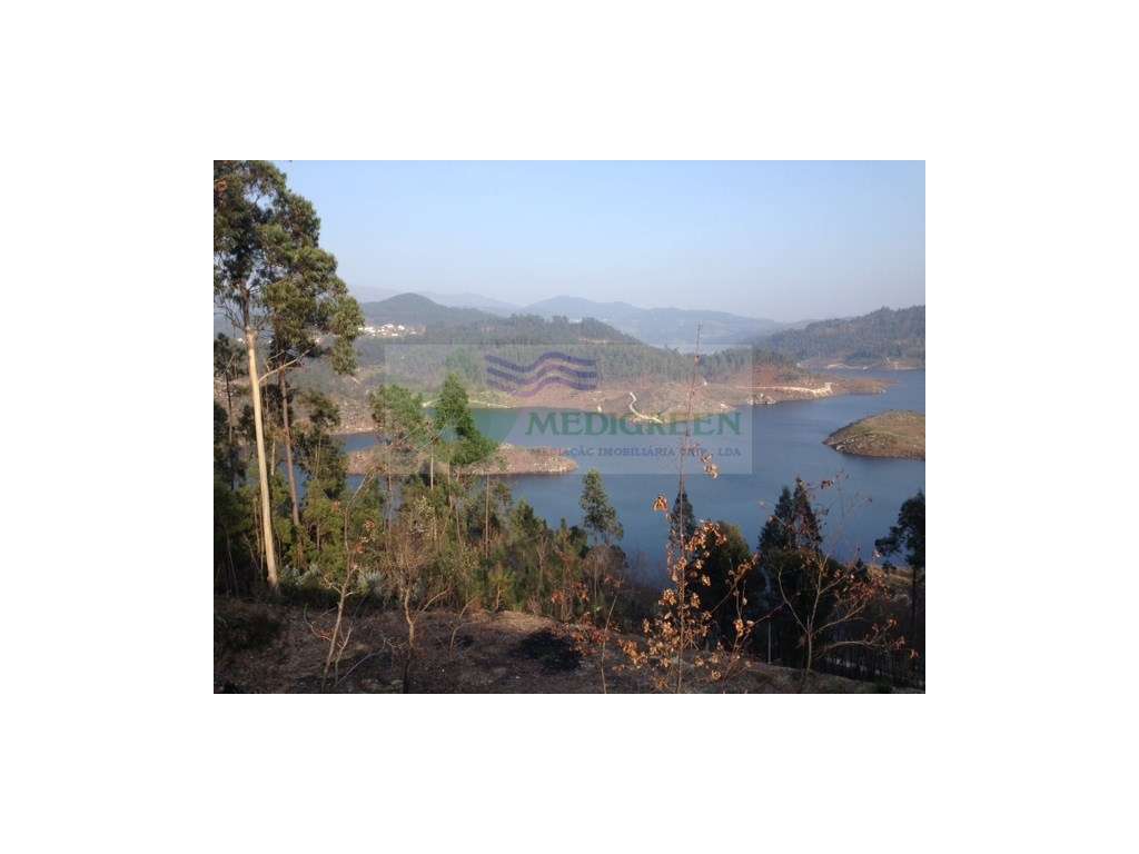 TERRENO NO BARREIRO | COUTO DE ESTEVES CONSELHO DE SEVER DO VOUGA - Grande imagem: 5/6