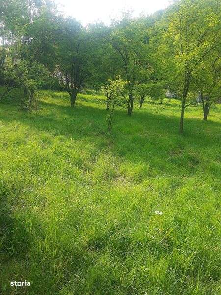 VAND TEREN in Valcea/Vladesti 2200 mp - Imagine principală: 4/4