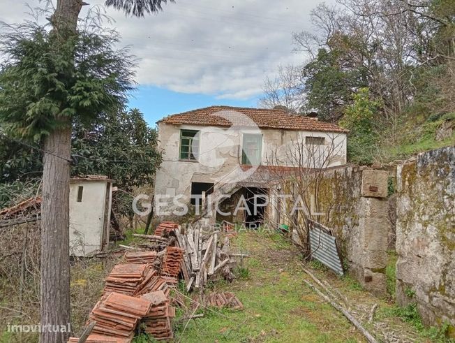 Oportunidade Única: Quinta para Habitação, Turismo ou Agricultura em M-18