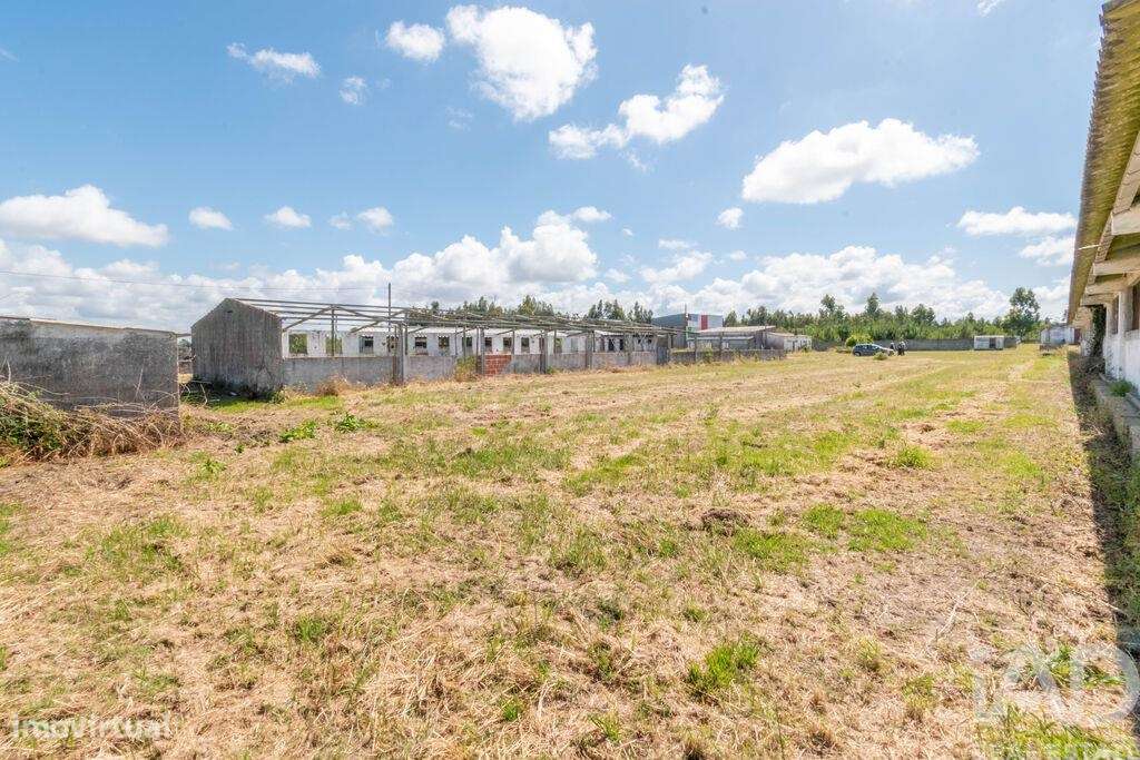 Terreno industrial em Vieira de Leiria - Grande imagem: 4/7