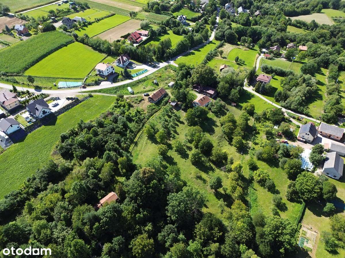 Działka budowlana 56ar+1h las+stary dom - Pełny obrazek: 2/15