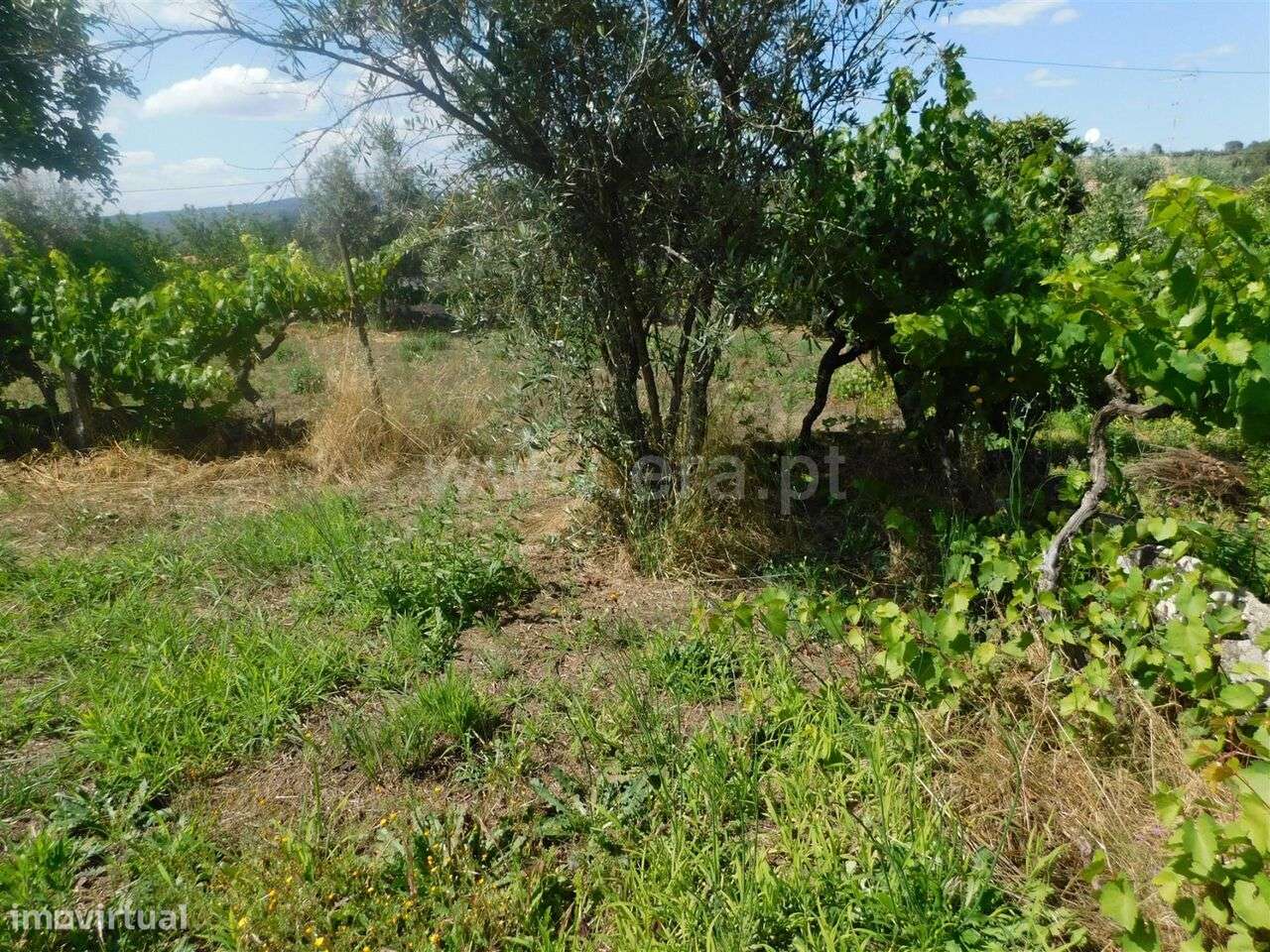 Terreno / Gouveia, Cativelos - Grande imagem: 3/13