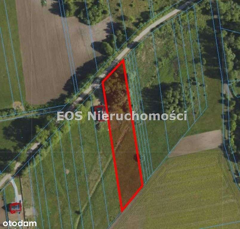 Działka, 6 165 m², Pomigacze-3