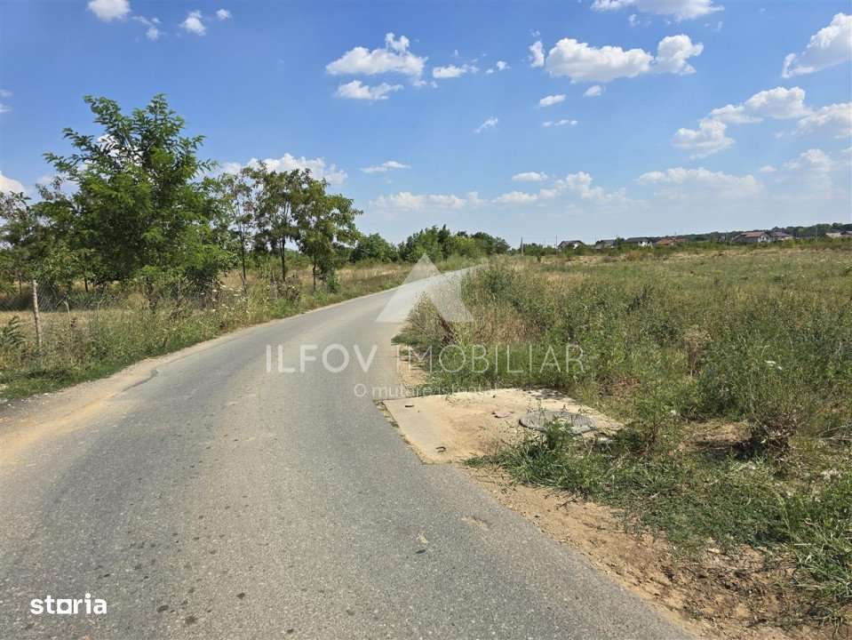 Loturi in rate Ciolpani 536mp + cota drum 188mp - Imagine principală: 4/7