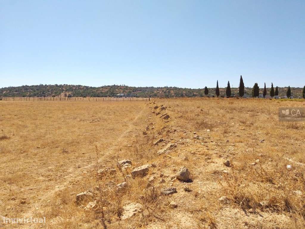 Terreno rústico com 8.980m², situado em Várzea do Poço da Figueira,... - Grande imagem: 3/4