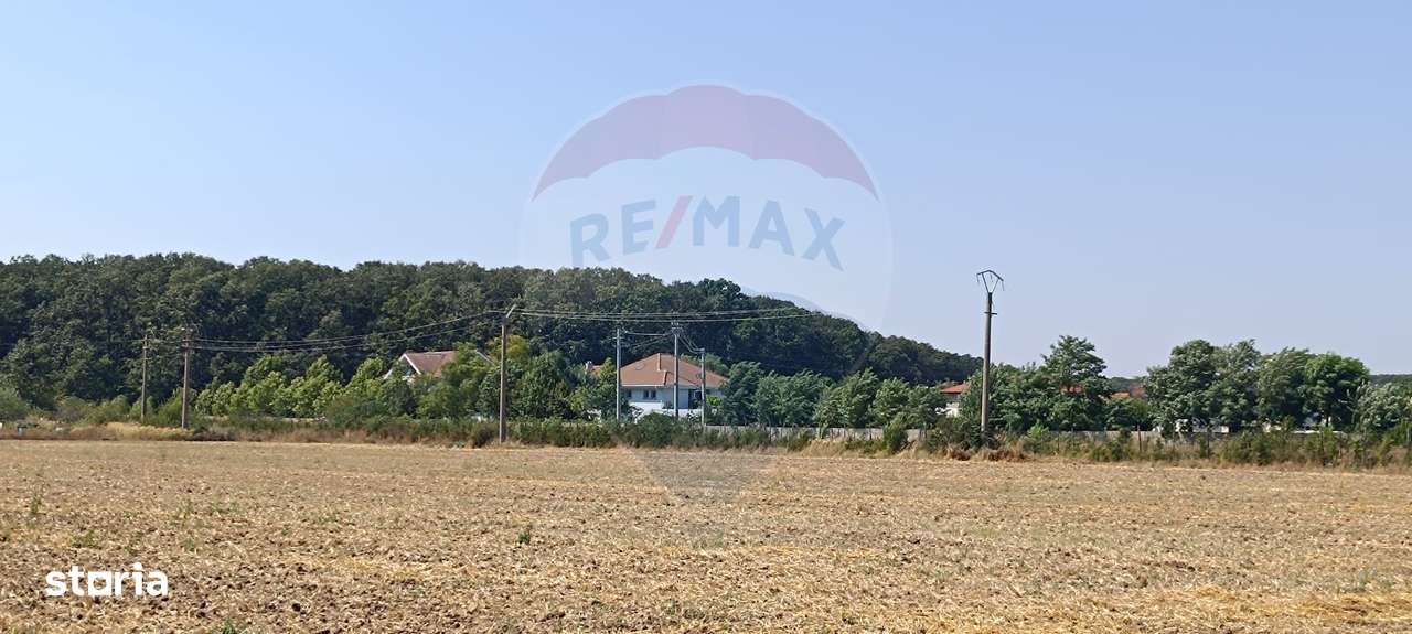 Teren 650mp Ghermanesti / Strada Milcov - Imagine principală: 5/8