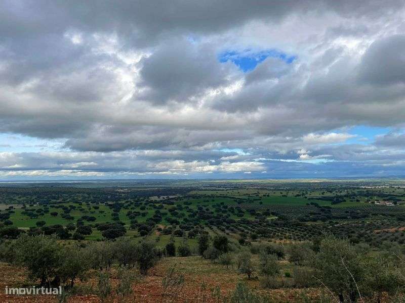 Terreno rústico 1 hectare, Sobral da Adiça, Moura. - Grande imagem: 3/8