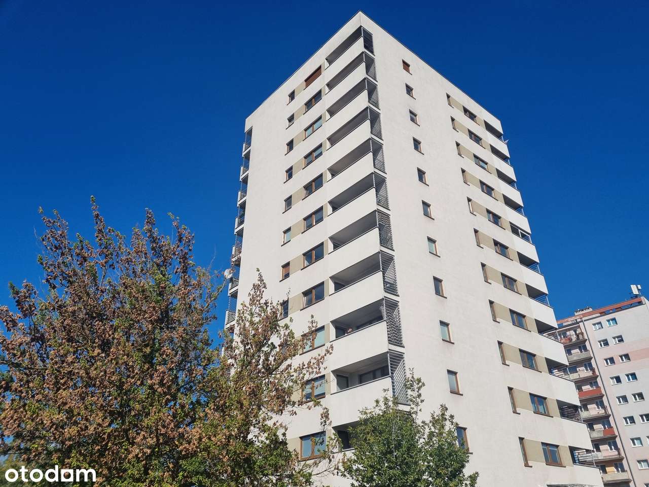 Jeżyce os. Lotnictwa Apartament z lotniczymi widokami - Pełny obrazek: 3/20