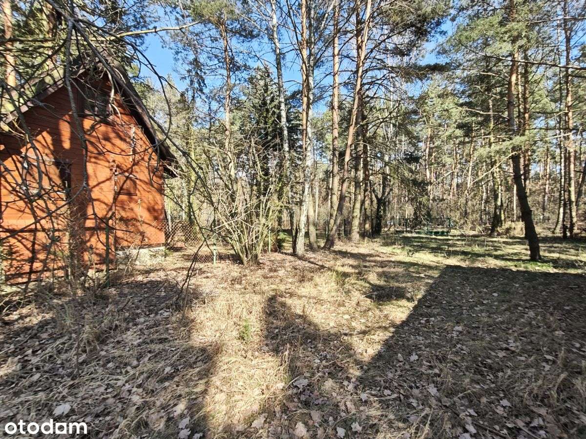 Urokliwa działka budowlana przy lesie - Pełny obrazek: 4/12