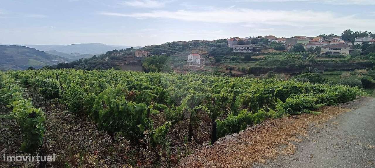 Terreno  para venda - Grande imagem: 5/7