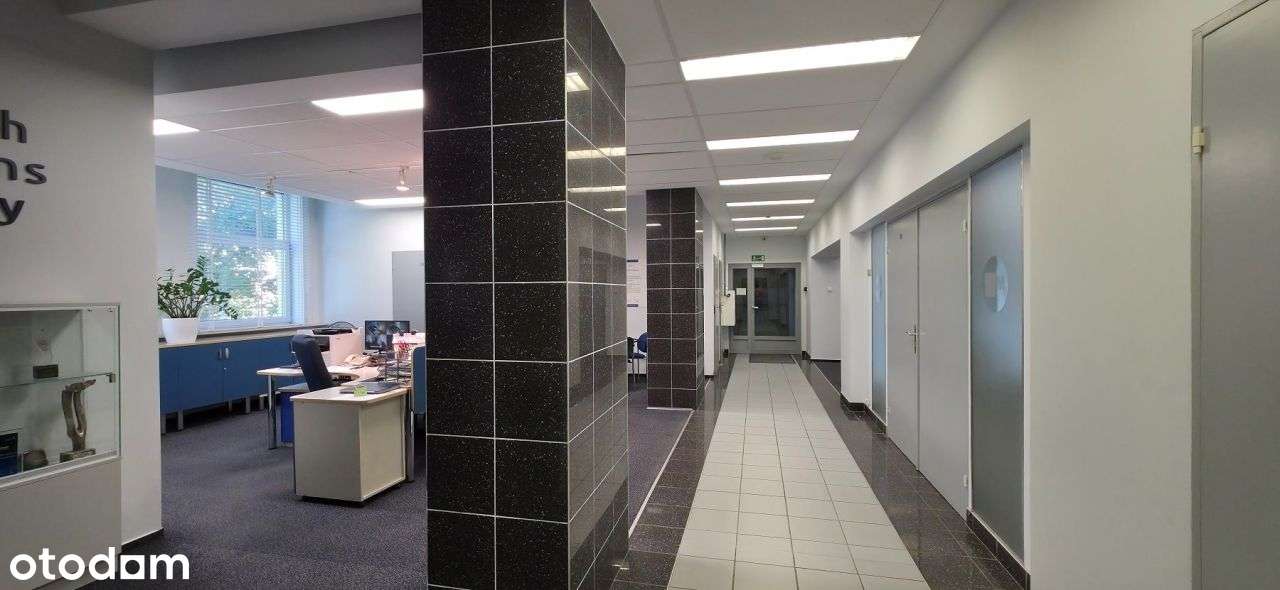 Lokal użytkowy, 239,50 m², Kutno - Pełny obrazek: 4/9