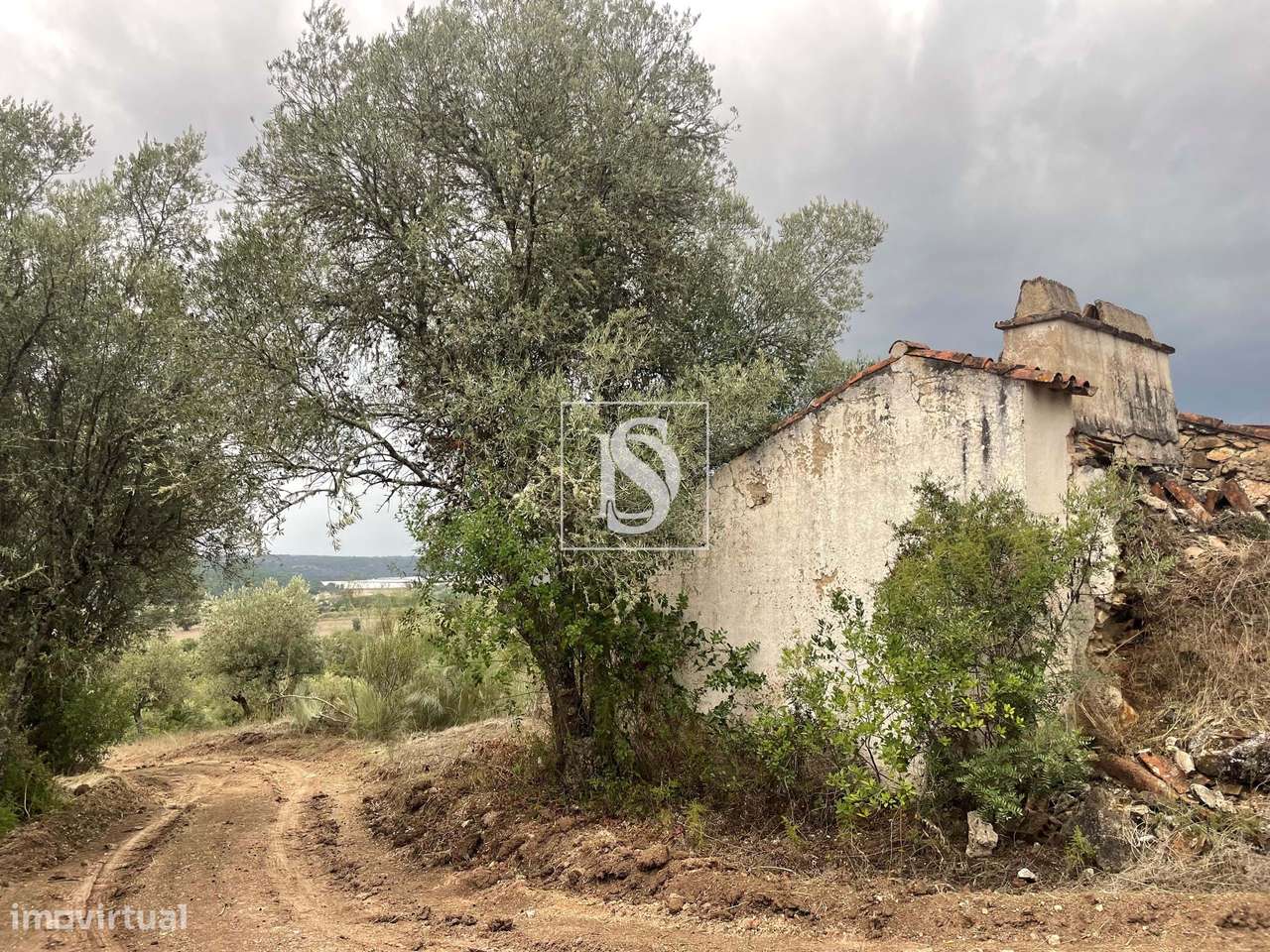 Quintinha em Montargil-20