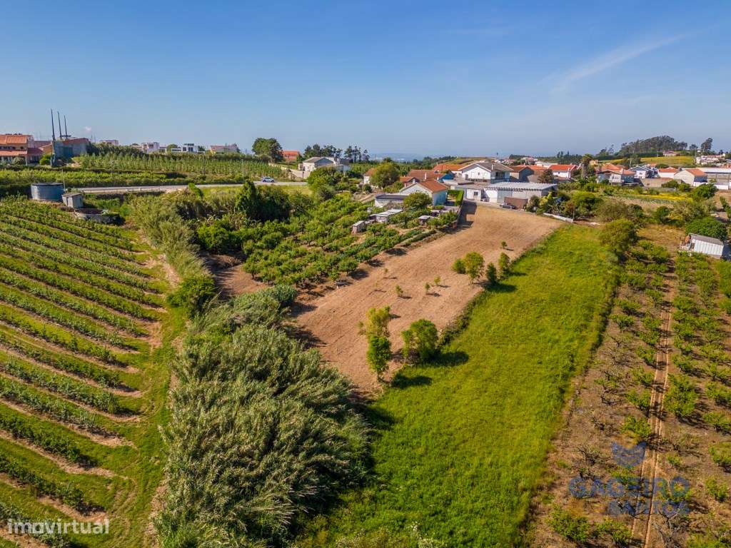 Terreno com projeto aprovado para uma moradia T3, licença a levanta... - Grande imagem: 5/22