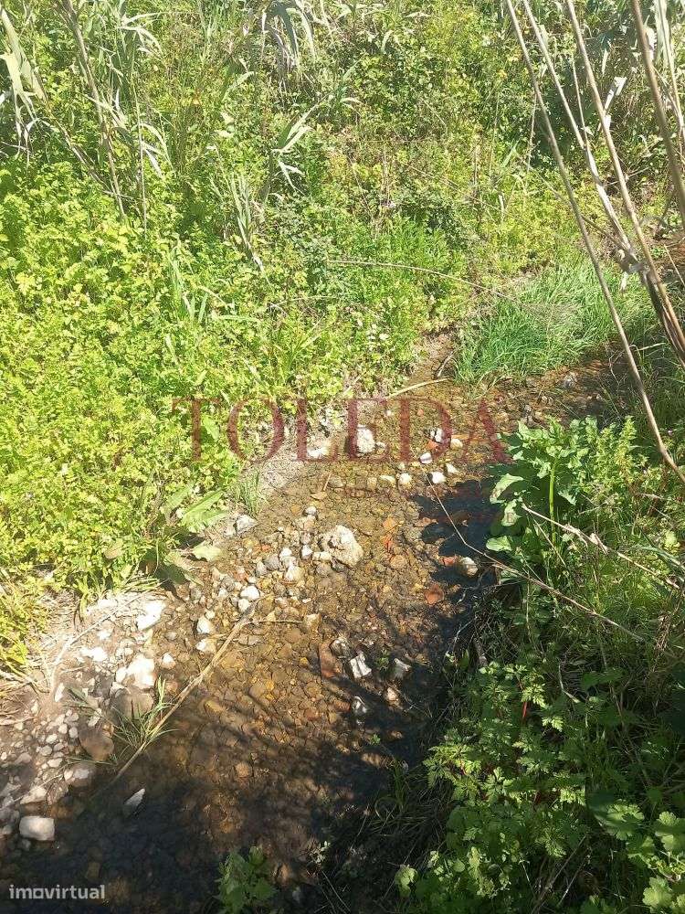 Quintinha em Tomar com 2 casas-51