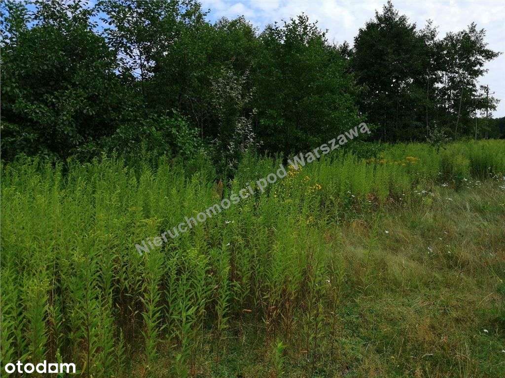 Działka Budowlana Z Bardzo Dobrą Komunikacją-9