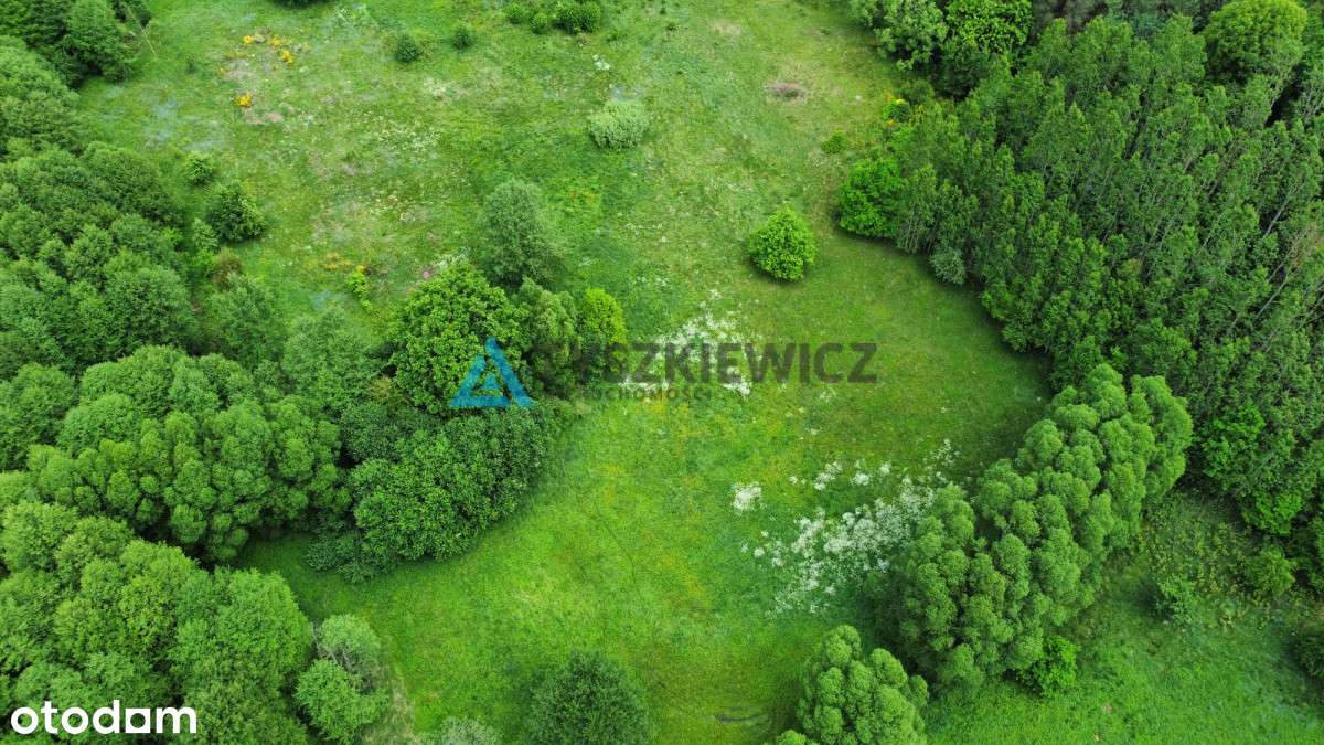 Atrakcyjna działka rolna w malowniczej okolicy - Pełny obrazek: 5/9