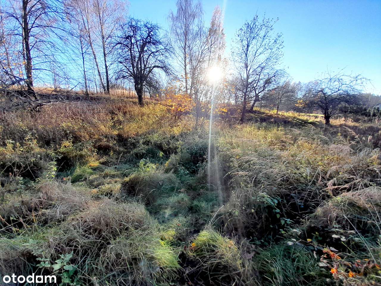 Sprzedam dom w Płazie, z dużą działką !-7