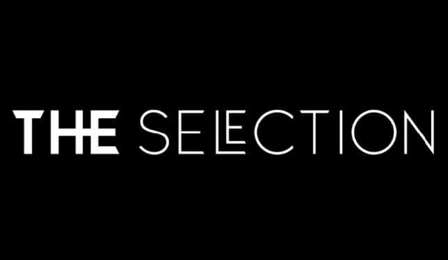 The Selection Imports - Sede logo
