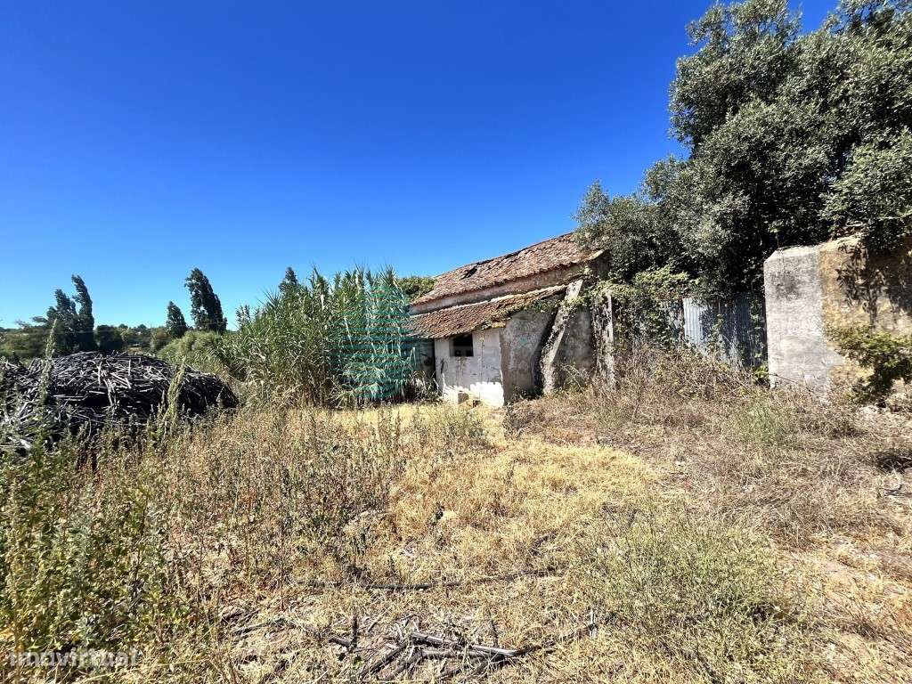 Terreno, em Rio Maior - Grande imagem: 4/11