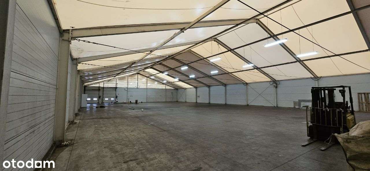 Wynajmę halę przy autostradzie doskonały dojazd - Pełny obrazek: 5/13