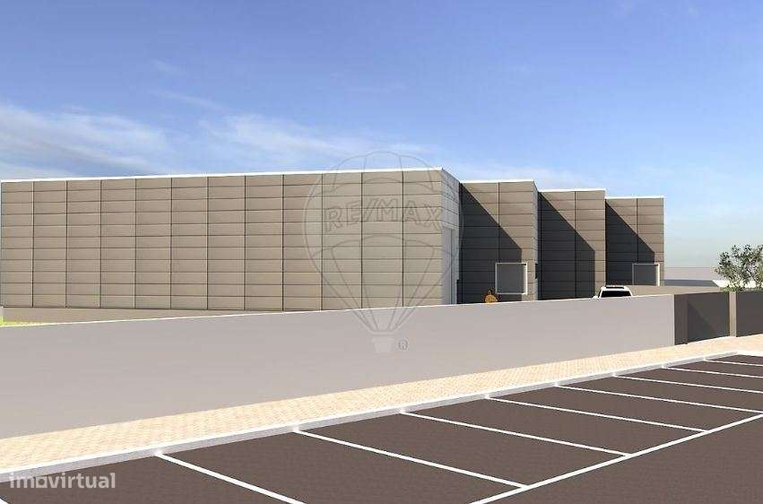 TERRENO INDUSTRIAL - ST .MARIA DA FEIRA - Grande imagem: 5/16