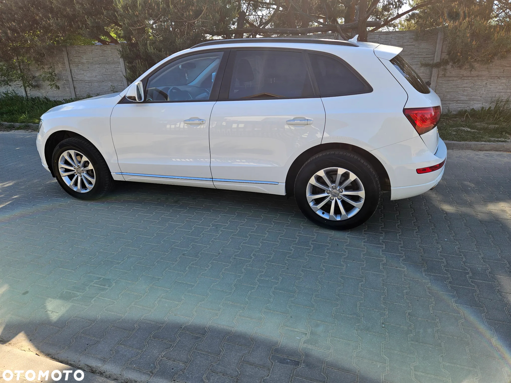 Audi Q5 2.0 TDI Quattro - 19