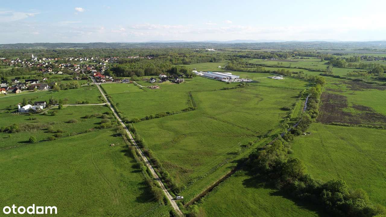 DZIAŁKA INWESTYCYJNA 6,03 ha – Borek (gm. Rzezawa) | MPZP | A4 10,5 km - Pełny obrazek: 2/6