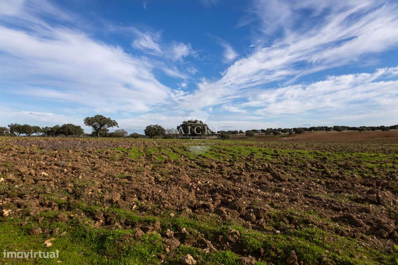 Herdade Alentejo-38