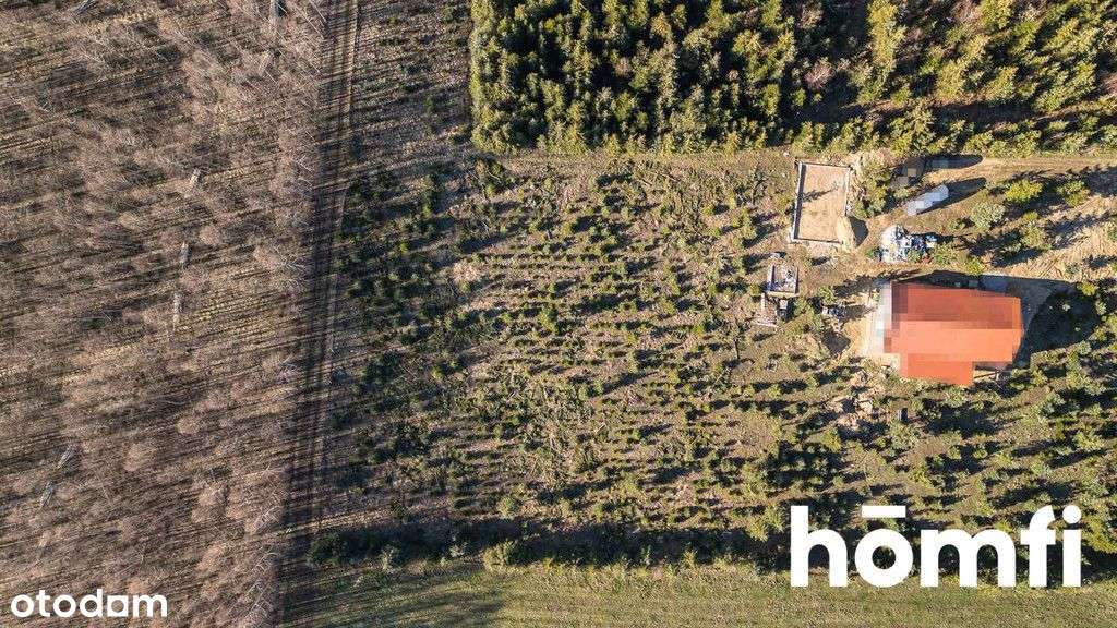 Działka 4083 m² w Kamionkach Wydane Wz - Pełny obrazek: 5/7