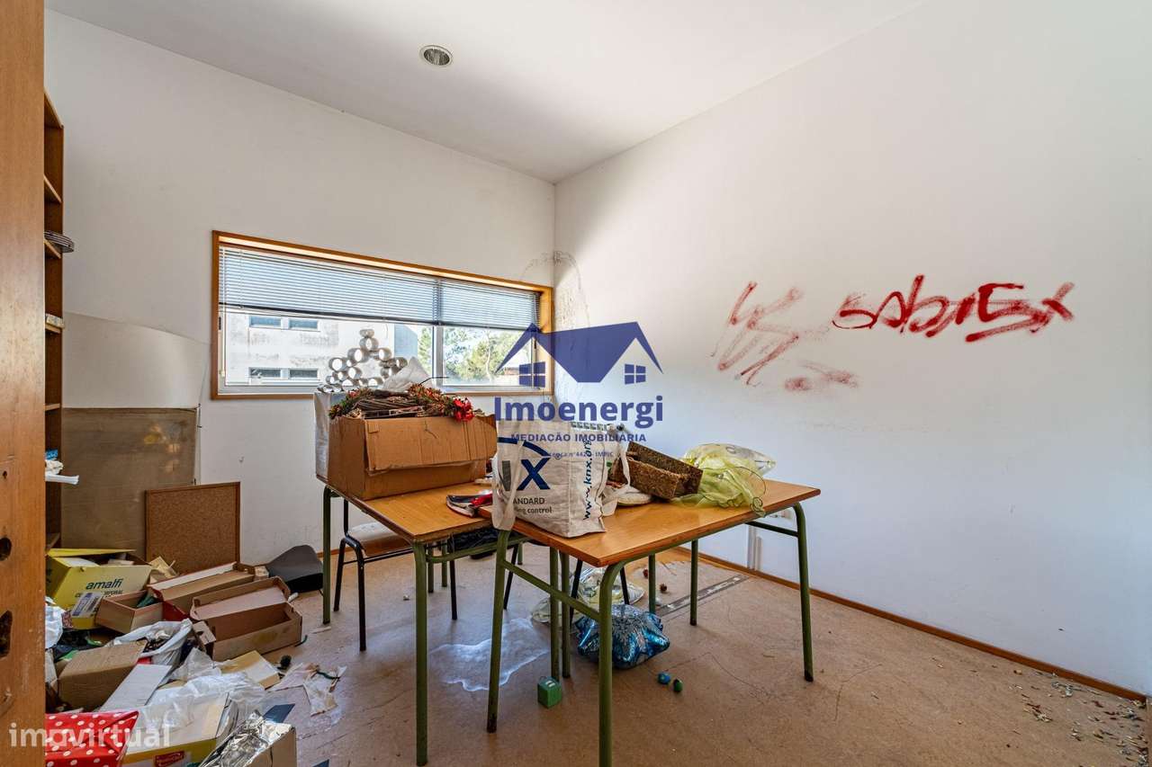 Excelente Edifício - Árvore - Grande imagem: 4/47