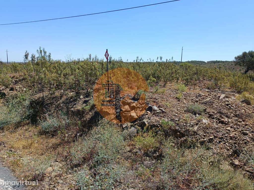 TERRENO COM 34.700 M2 - POSSIBILIDADES DE CONSTRUIR UM ARMAZEM - PR... - Grande imagem: 4/41