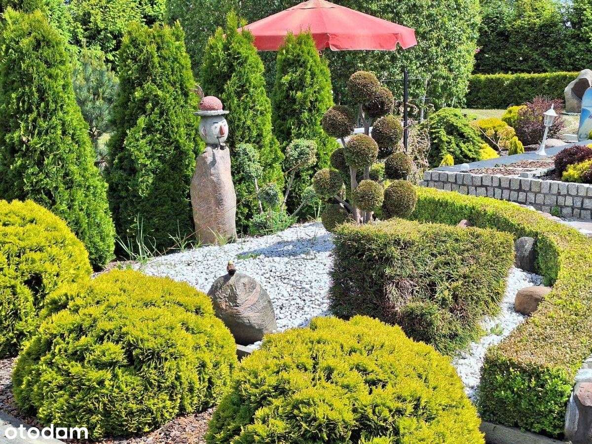 Działka budowlana Sośnie-5