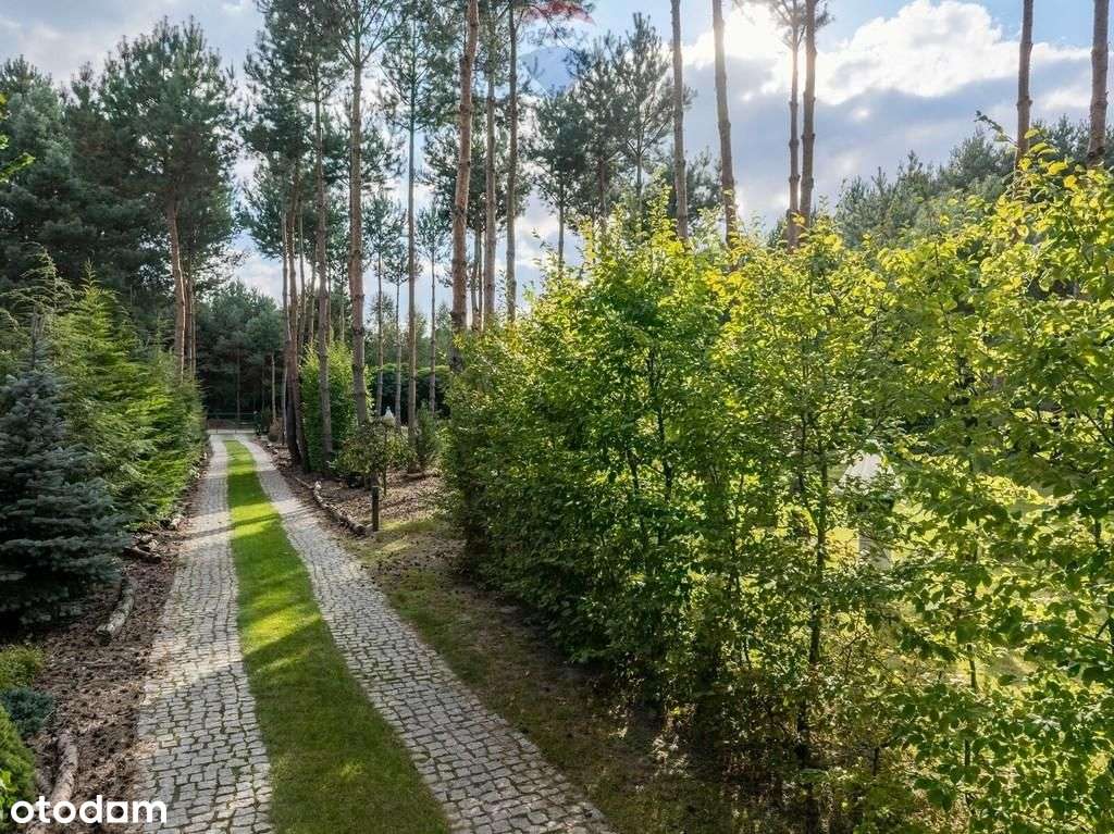 Wyjątkowa posiadłość w Wilkowyi koło Jarocina - Pełny obrazek: 5/20