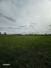 Działka rolna na skraju wsi Krobielewko