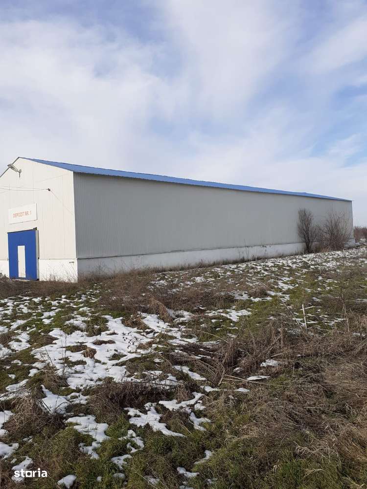 Hala industriala Frumusani - Buciumeni - Imagine principală: 5/11