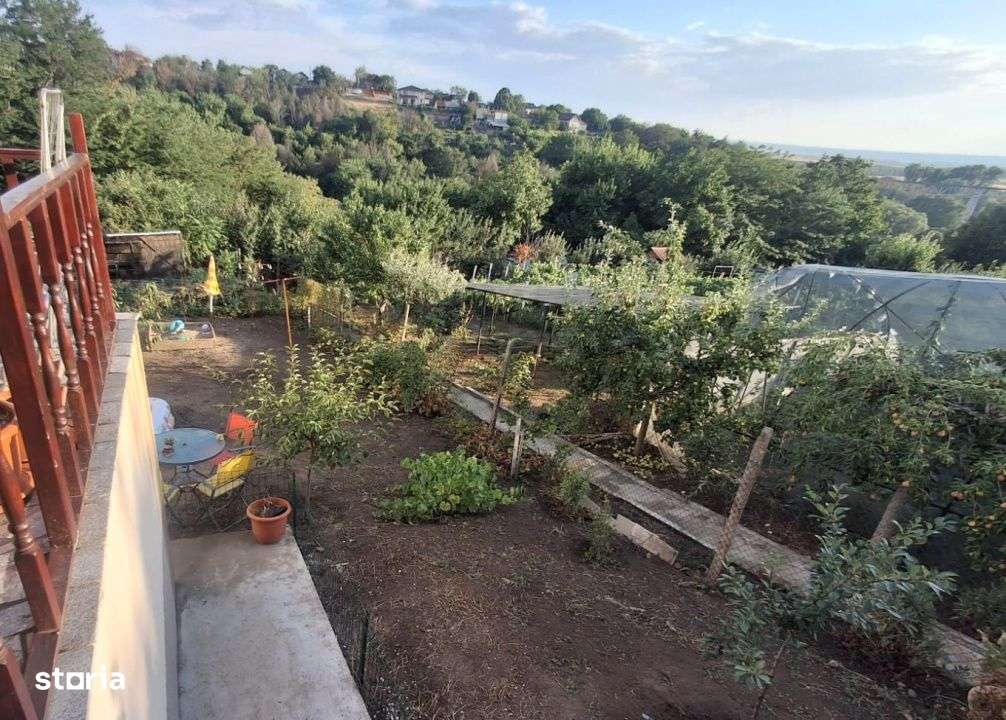 Dubla oportunitate intr-o singura achizitie, langa Primarie Carcea - Imagine principală: 5/19