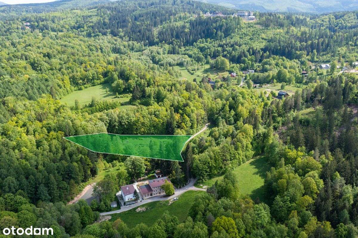 Działka budowlana wśród skał i lasu Sosnówka - Pełny obrazek: 4/7