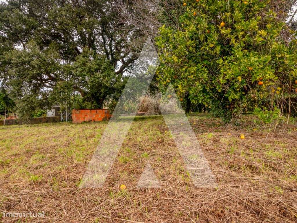 Lote de Terreno para construção de moradia na Sra. Do Monte - Salreu-5