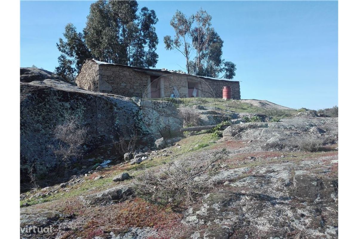 Terreno em Lousa - Castelo Branco